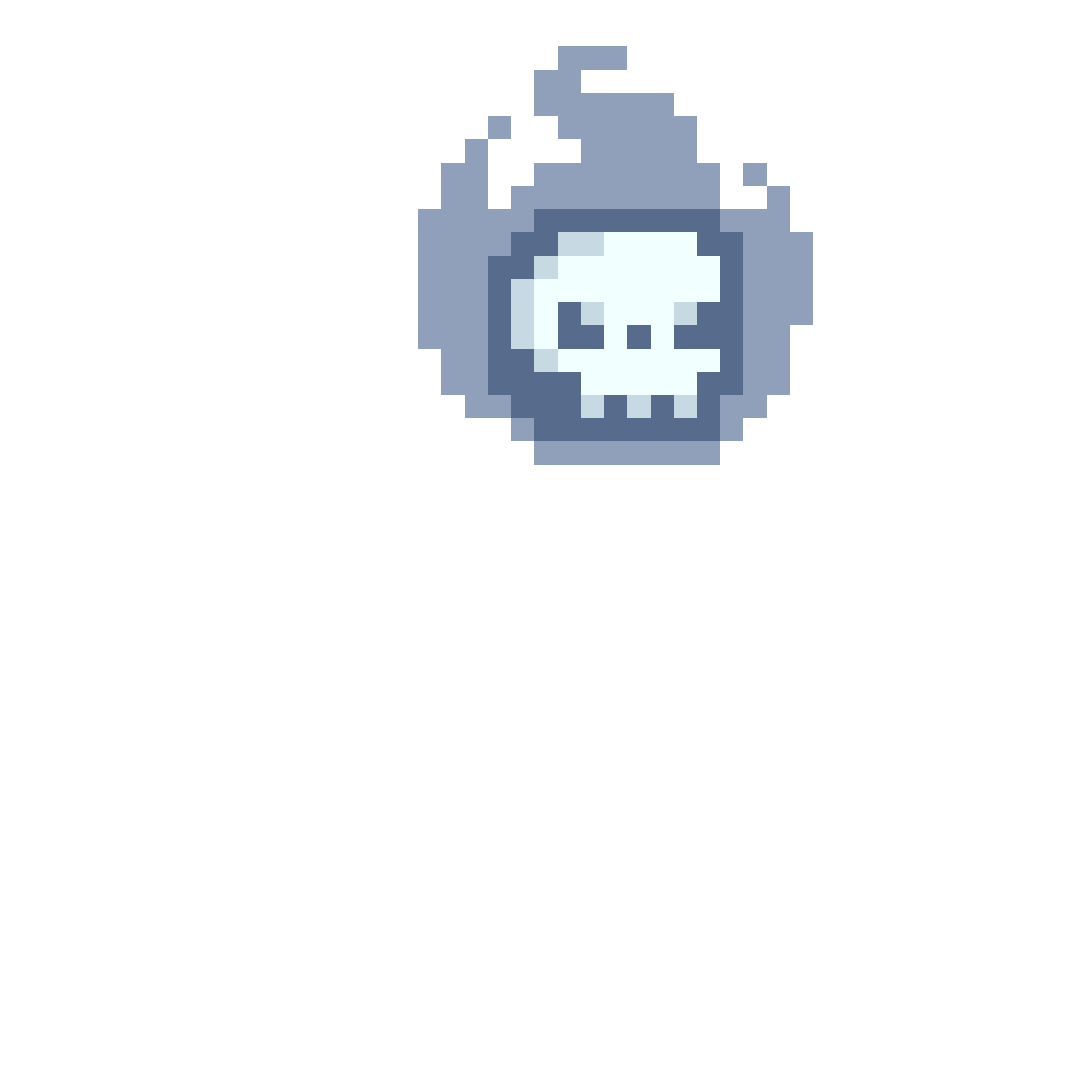 Skull Protector